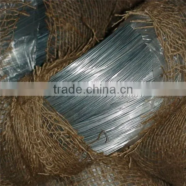 Galvanized wire BWG 12 galvanized wire 1008/low price galvanized wire