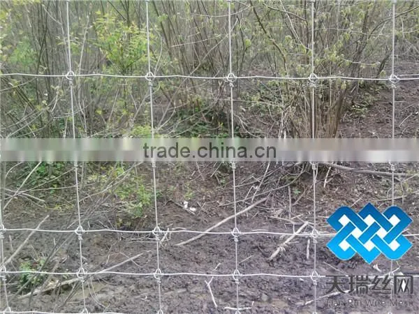 field mesh/cattle mesh/field fence