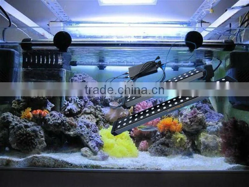 Radion led aquarium lighting 120w