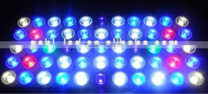 Double lens led aquarium light moonlight