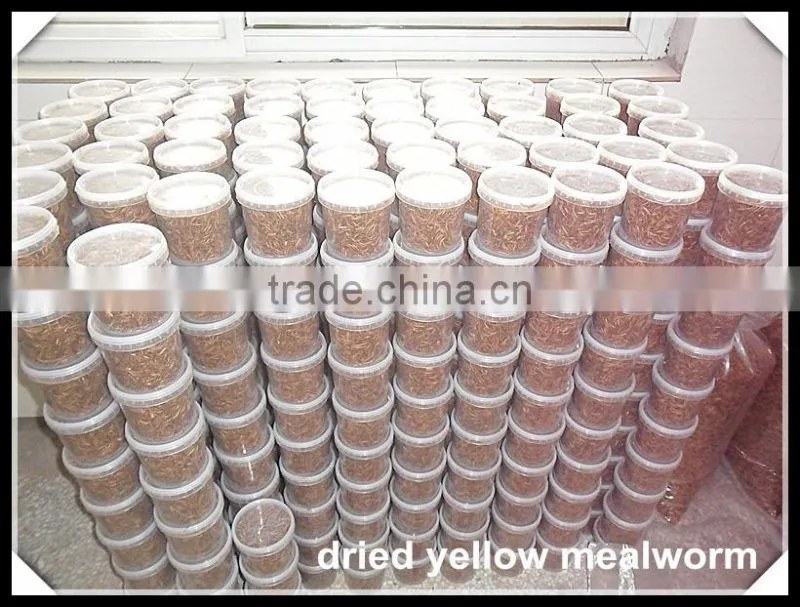 Chicken Farms Chicken Feed Dried Mealworms