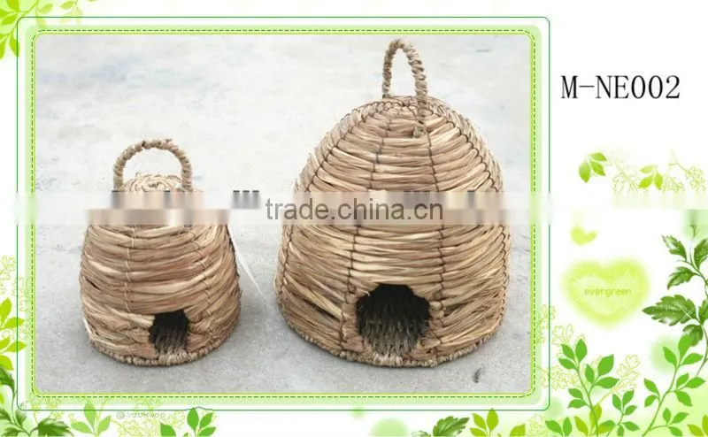Calamus beccarii flowerpot &narcissus pot &flower basket