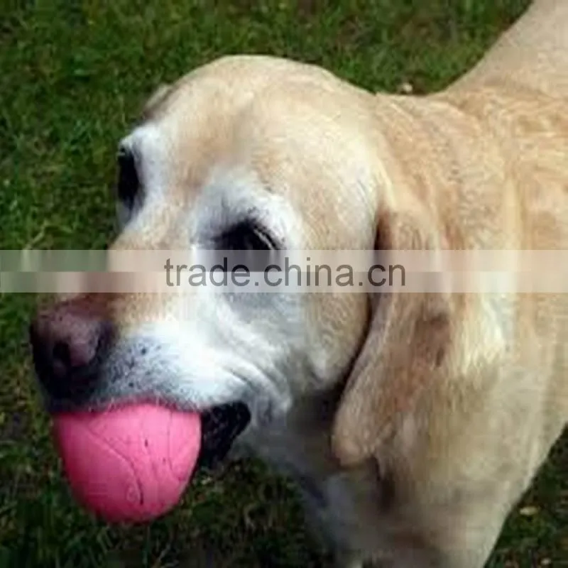 New Design Pet Toy Products Pet Dog Ball