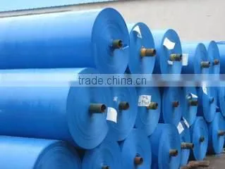 Shantou Shuangpeng Plastic Industrial Co., Ltd. company overview - view 1