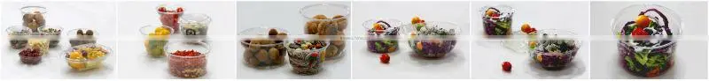 Clear PET deli containers,salad bowls,First manufacturer of PET products in China, best supplier