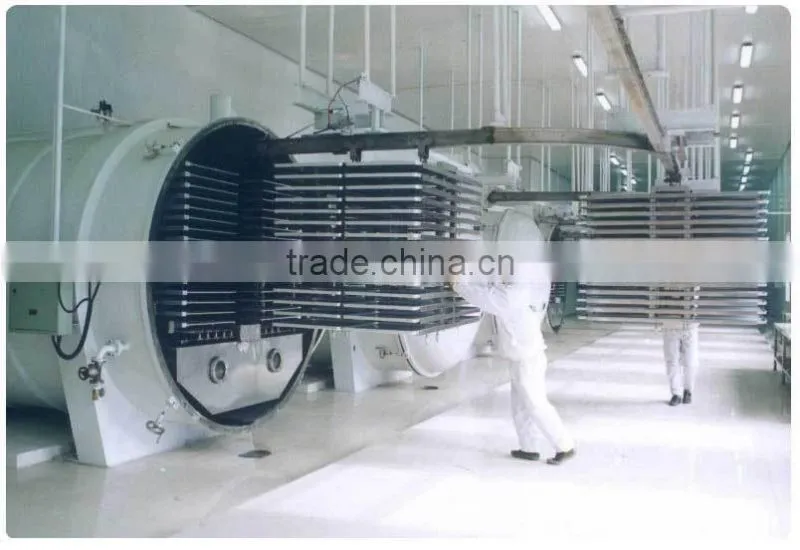fruits and vegetables vacuum drying machines