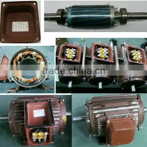 Y series three phase cast iron housing high efficiency electric motor
