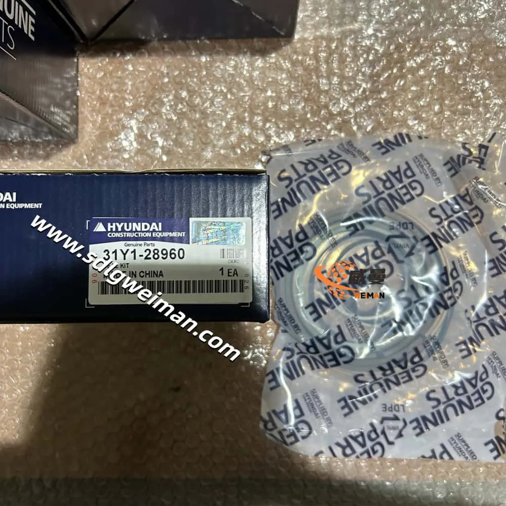 31Y1-28960-3