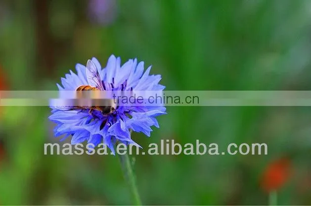 Macro extension tube for Canon EOS camera