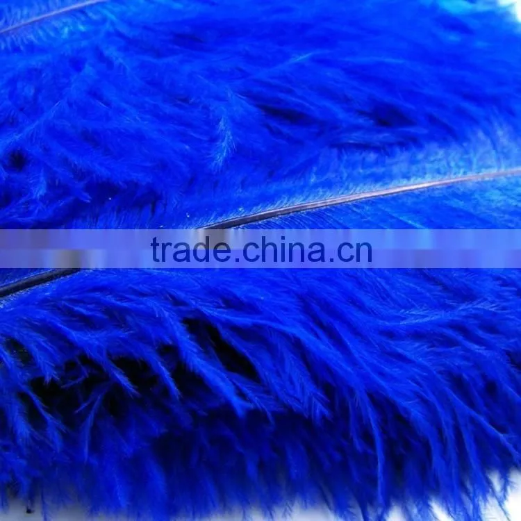 Mix color decorative Plumas Aparadas ostrich feathers