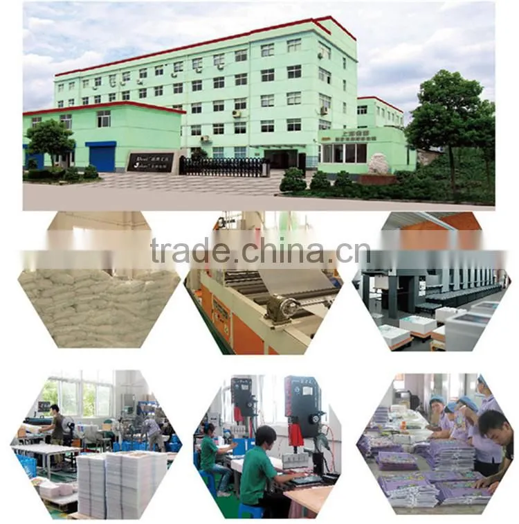 Deoi OEM customized fashion PP/PVC/PET wholesale eco-friendly foldable file zipper bag