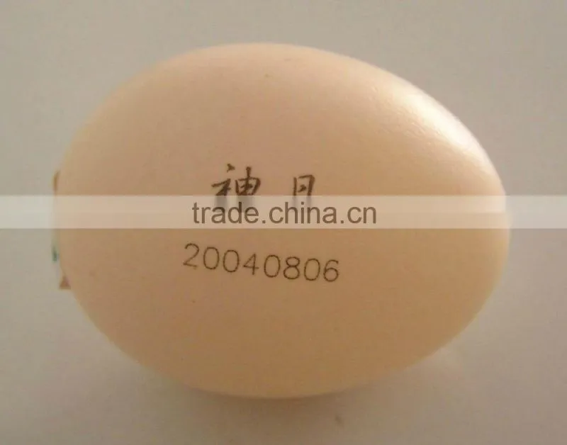 Co2 laser marking machine for plastic bottle date code printing