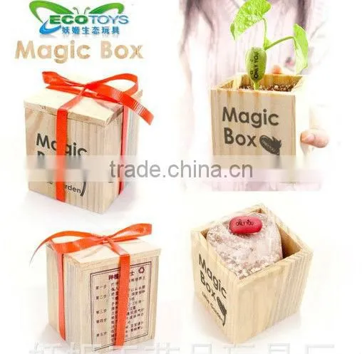 Wood box magic bean