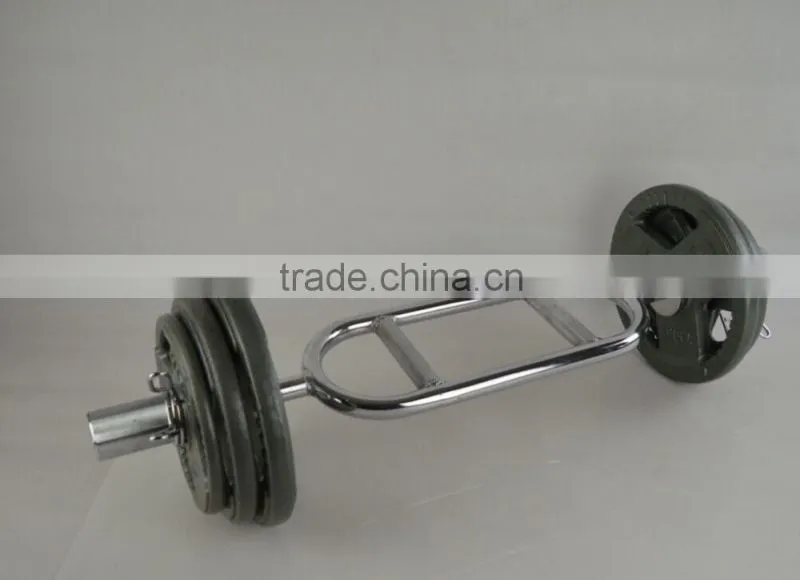 handle painting olympic barbell weight plate in weight lifting