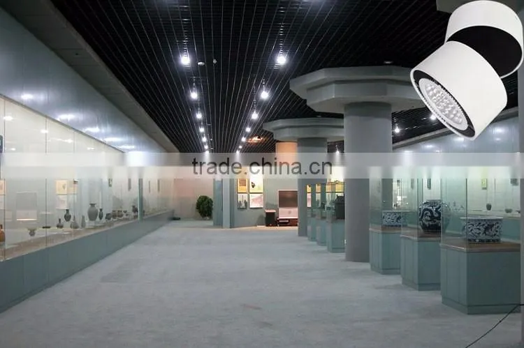 SAA Approved White/chrome LED Surface Mounted Downlight with 12w
