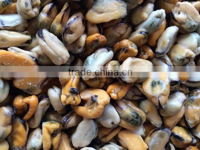 iqf mussel meat seafood mussel meat