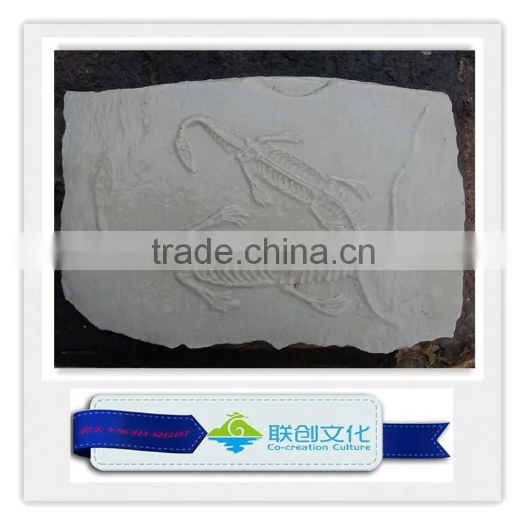 Dinosaur fossil replica for dinosaur museum educational sample