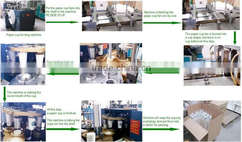 pe coated paper in sheet