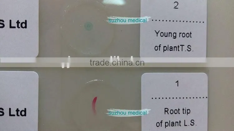 Microscope Slides 200pcs set