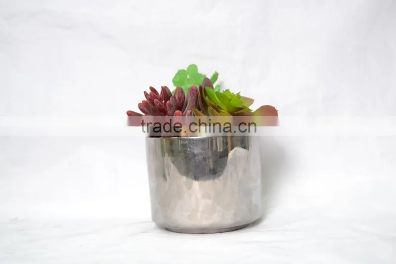Mini Artificial succulent plants with plastic pot for indoor decoration