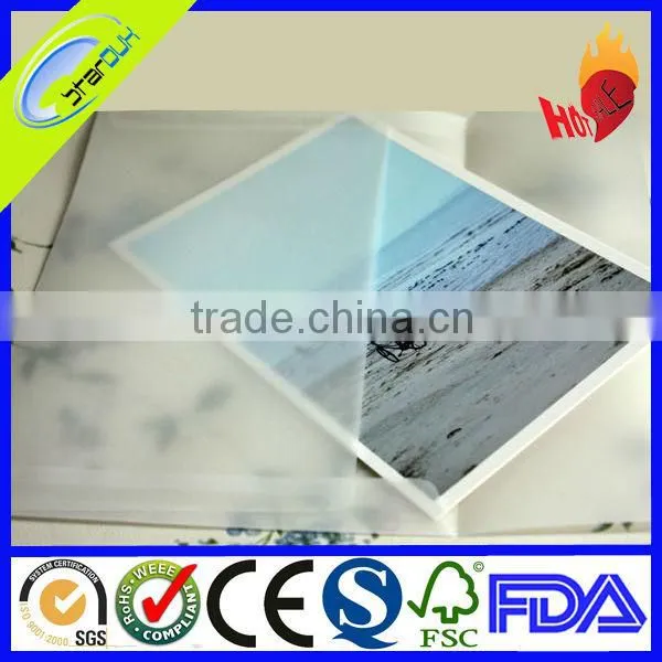 customized clear vellum envelope/vellum gift envelope