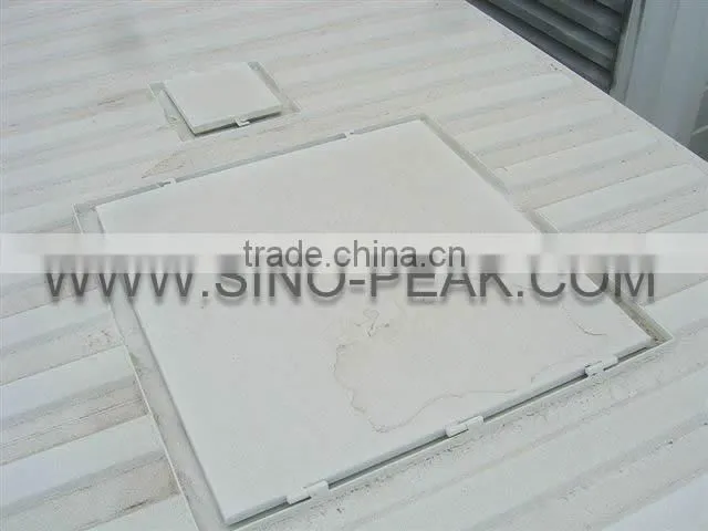 Fuel Tank Container