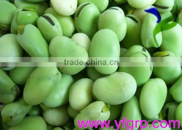 Dried Broad Beans