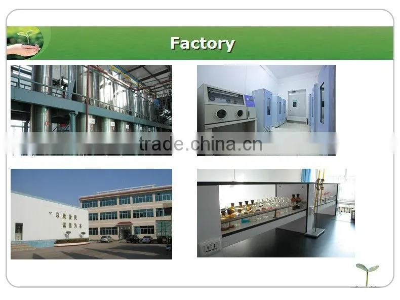 Epimedium powder icariin 50% 60% 80% 98% epimedium extract
