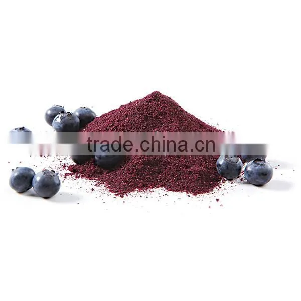 spray dried fruit powder