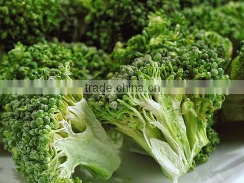 Cheap Price Freeze Dried Fruits and Vegetables Natural Freeze Dried Broccoli