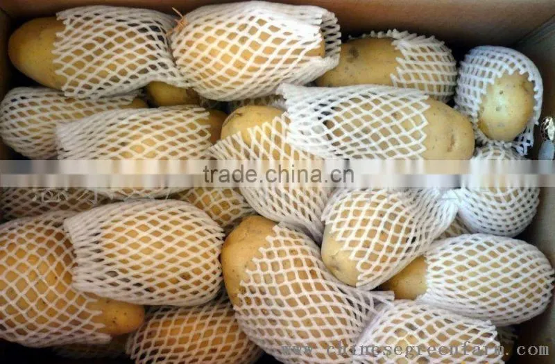 Fresh Potato in China