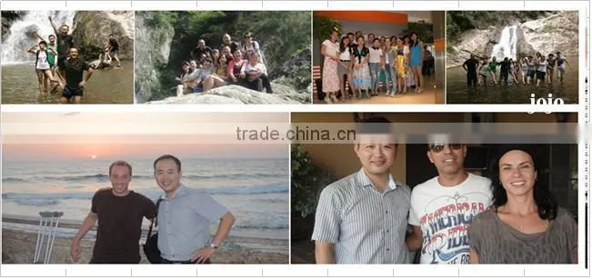 15*15MM anti bird net bird netting mesh