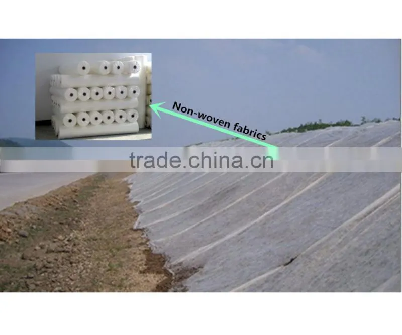 China small and mobile hydro seeding machine