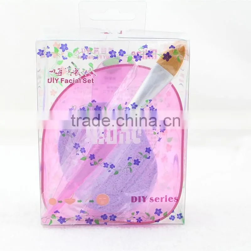Lady Facial Care Mask Facemask Bowl Stick Brush Mixing Tool Sets mask