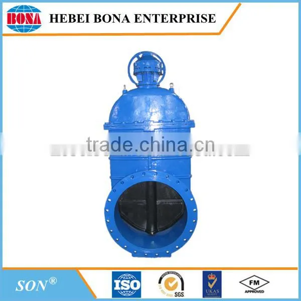 Ductile iron valve