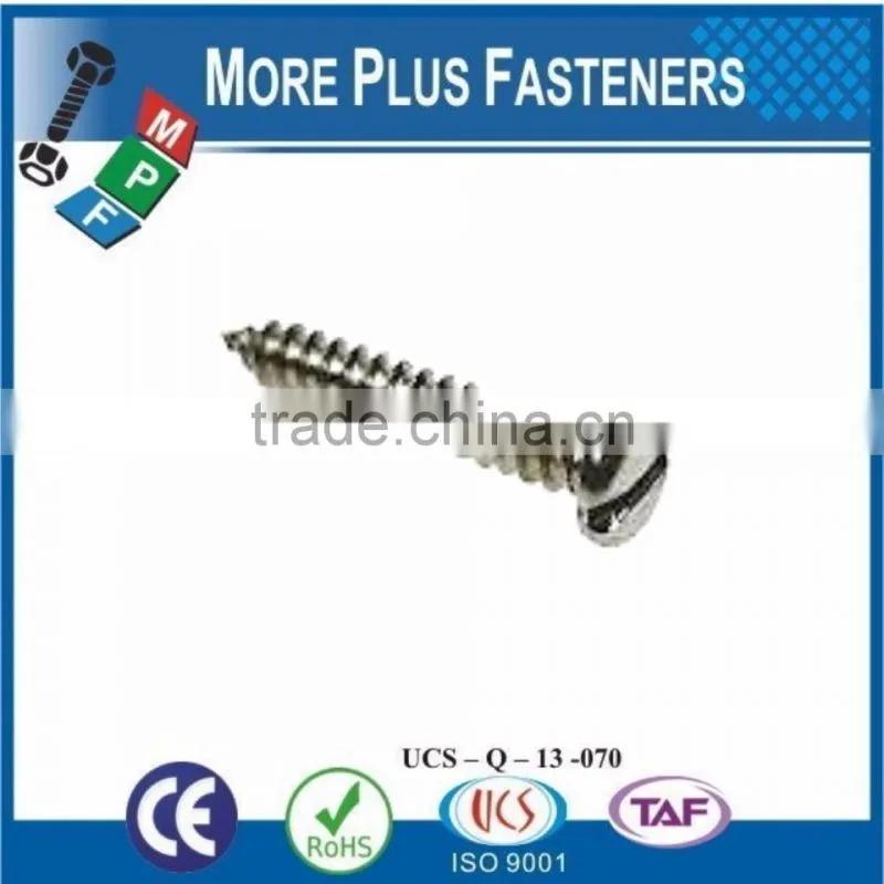 Made in Taiwan ISO 1481A2 Slotted Pan Head Tapping Screws Stainless Steel Cone Point DIN 7971 C
