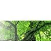 Linyi Guosheng Import And Export Co., Ltd. company overview - view 1