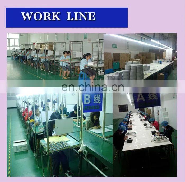 custom sound chip for toy /clothes and shoes with light