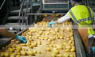 Natural Potato Chips Processing Line/Full Automatic Compound Potato Chips Processing l Potato Chips Processing lineine/
