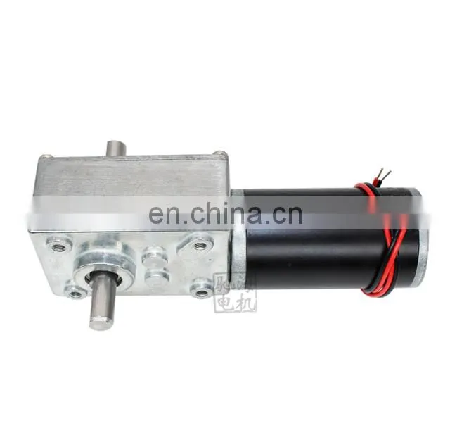 ChiHai Motor CHW4058-3162 High Precision DC 24V 12V Worm Gear Box Reduction Electric Motor Double Shaft Gear Motor