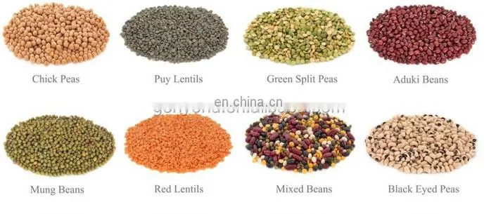 shanghai automatic soy bean washing machine