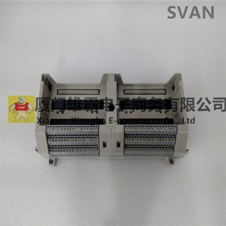 1B30035H01 (5).jpg
