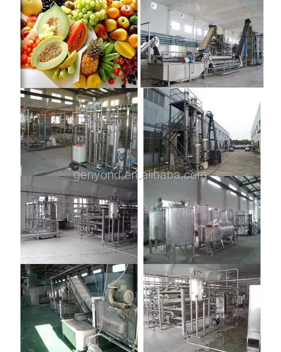 Complete Tamarind Juice Production Line / Tamarind Juicing Machine
