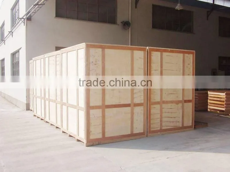 lever block/lever hoist hot sale made in China