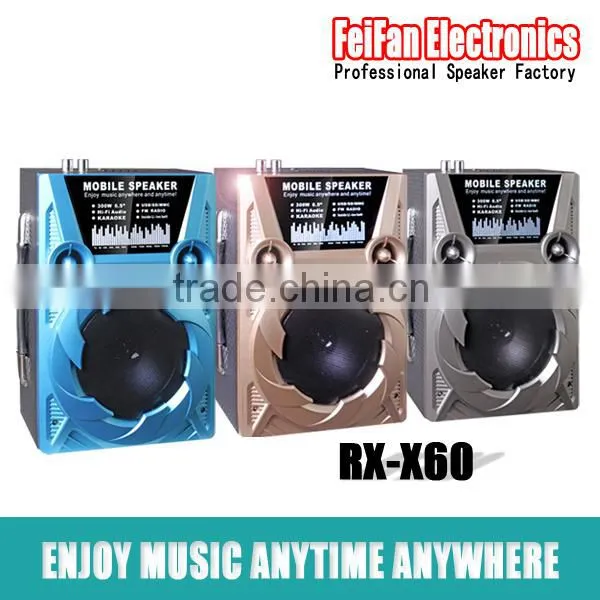 Top Sale 6.5 Inch Usb Speaker With Fm Radio