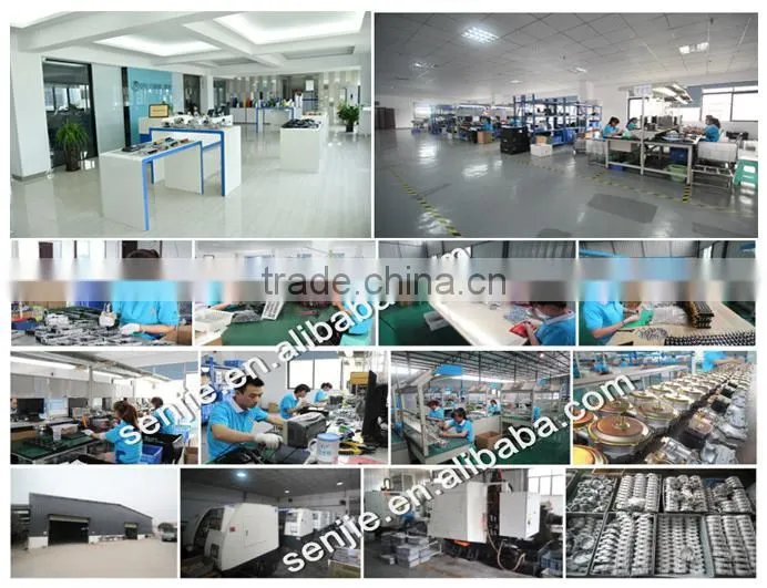 T511N lpg cng spark timing advancer for cng system