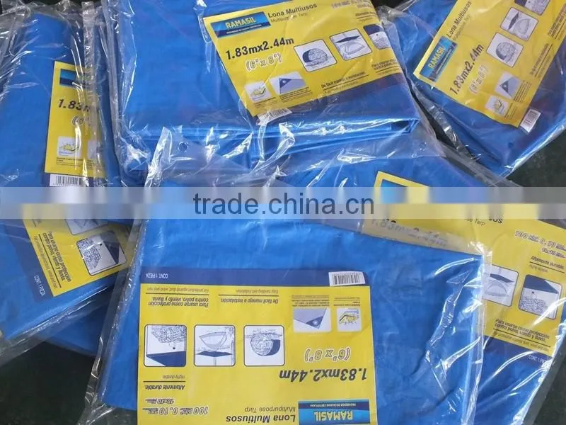 PE/PP Waterproof Construction Tarp/ Tarpaulin
