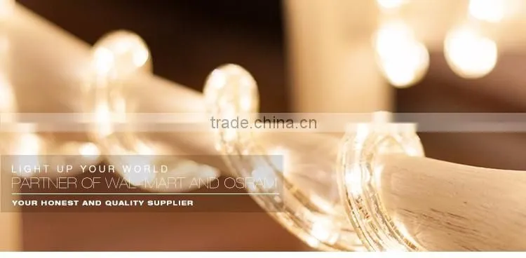Copper line LED Rope Light IP65 Outdoor Underwater LED Rope Light