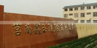 Junan Xinyu Washing Commodity Factory company overview - view 2