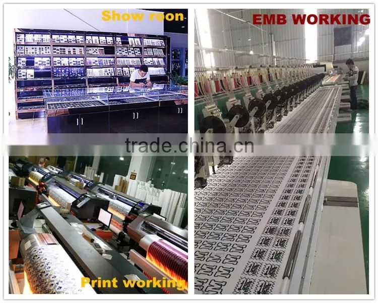 Custom wholesale brands High Quality 3D embroidery patch for clothing